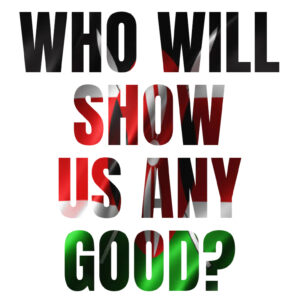 Who will Show Us Any Good